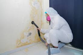 Best Forensic Mold Investigation  in USA